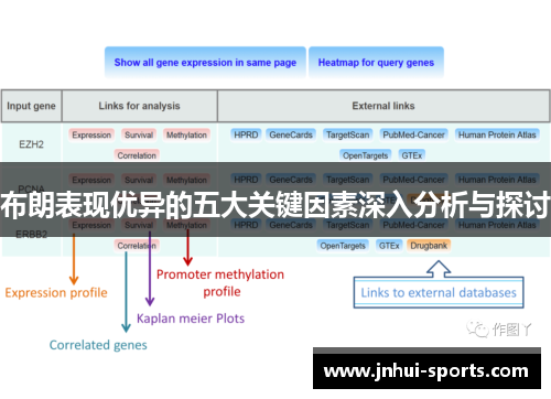 布朗表现优异的五大关键因素深入分析与探讨