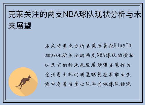 克莱关注的两支NBA球队现状分析与未来展望
